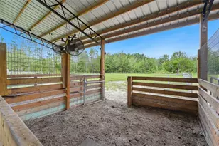 4889 SW 35th Trail, Bell, FL 32619 - Photo 32