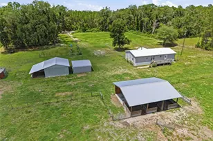 4889 SW 35th Trail, Bell, FL 32619 - Photo 40
