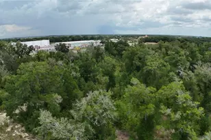6569 SW 81st Loop, Ocala, FL 34476 - Photo 30