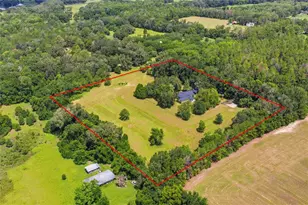 22929 E County Rd 1474, Hawthorne, FL 32640 - Photo 6