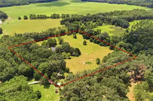 22929 E County Rd 1474, Hawthorne, FL 32640 - Photo 4