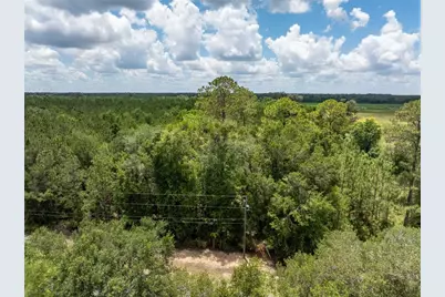 17198 SW State Road 47, Fort White, FL 32038 - Photo 1
