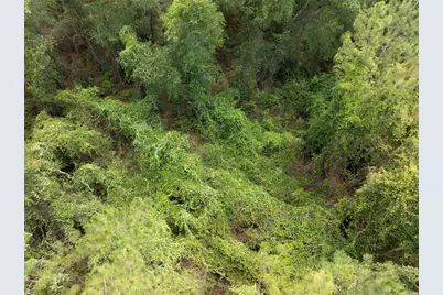 17198 SW State Road 47, Fort White, FL 32038 - Photo 12