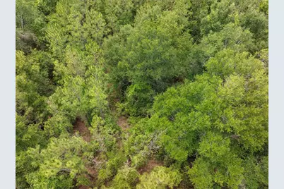 17198 SW State Road 47, Fort White, FL 32038 - Photo 16