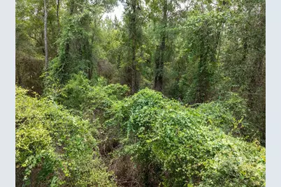 17198 SW State Road 47, Fort White, FL 32038 - Photo 18