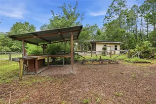 5529 NE 51 Ave, High Springs, FL 32643 - Photo 36
