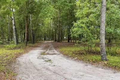 5529 NE 51st Avenue, High Springs, FL 32643 - Photo 36