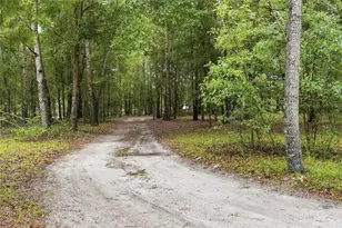 5529 NE 51 Ave, High Springs, FL 32643 - Photo 36
