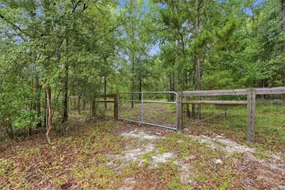 5529 NE 51st Avenue, High Springs, FL 32643 - Photo 44