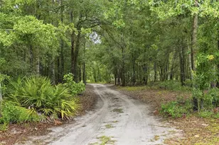 5529 NE 51 Ave, High Springs, FL 32643 - Photo 34