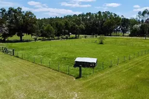 15770 NW 60th Ave, Chiefland, FL 32626 - Photo 72