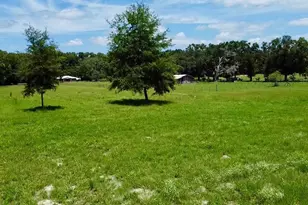 15770 NW 60th Ave, Chiefland, FL 32626 - Photo 68