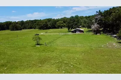 15770 NW 60th Avenue, Chiefland, FL 32626 - Photo 64