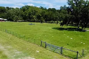 15770 NW 60th Ave, Chiefland, FL 32626 - Photo 76