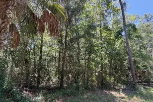 0 SE Hwy 19, Inglis, FL 34449 - Photo 1