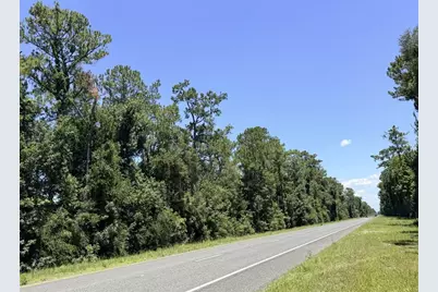0 SE Hwy 19, Inglis, FL 34449 - Photo 2