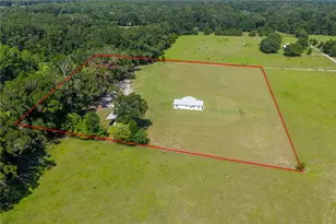 21411 NW 209th Terrace, High Springs, FL 32643 - Photo 50
