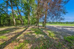 21411 NW 209th Terrace, High Springs, FL 32643 - Photo 44