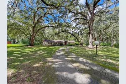 11131 NW 11th Avenue, Gainesville, FL 32606 - Photo 6