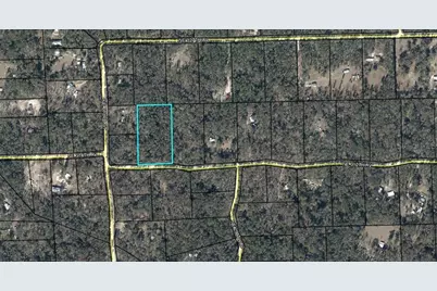Ne 312th Avenue, Old Town, FL 32680 - Photo 2