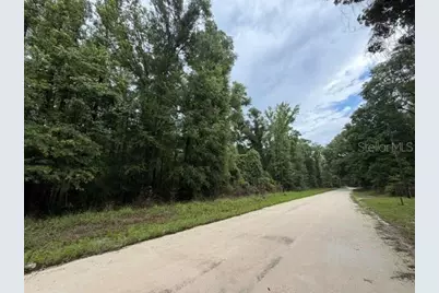 Ne 312th Avenue, Old Town, FL 32680 - Photo 4