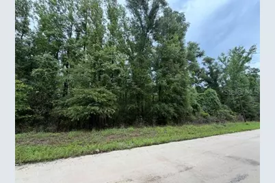 Ne 312th Avenue, Old Town, FL 32680 - Photo 1