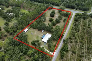 128 NE 326th Ave, Cross City, FL 32628 - Photo 50