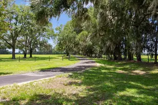 3201 NW 202nd St, Newberry, FL 32669 - Photo 44
