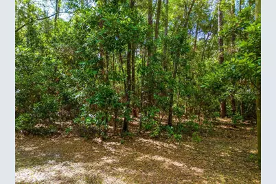 15713 NW 268th Terrace, High Springs, FL 32643 - Photo 36