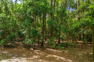 15713 N W 268th Terrace, High Springs, FL 32643 - Photo 36