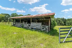 20104 NW 184th Terrace, High Springs, FL 32643 - Photo 34