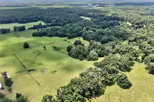 20104 NW 184th Terrace, High Springs, FL 32643 - Photo 46