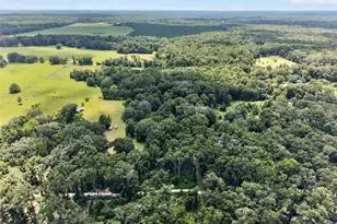 20104 NW 184th Terrace, High Springs, FL 32643 - Photo 50