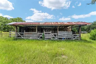 20104 NW 184th Terrace, High Springs, FL 32643 - Photo 4