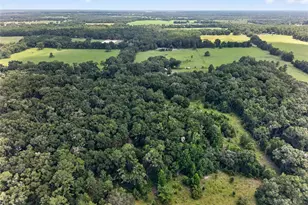 20104 NW 184th Terrace, High Springs, FL 32643 - Photo 48