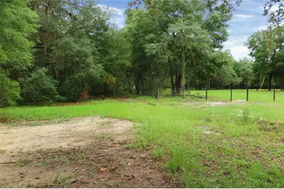 11519 SE 225th Drive, Hawthorne, FL 32640 - Photo 8