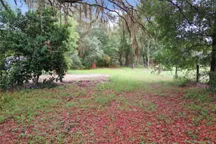 11519 SE 225th Dr, Hawthorne, FL 32640 - Photo 6