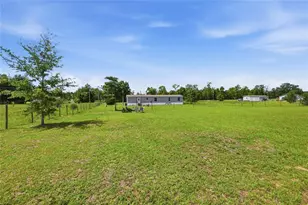 9831 NE 100th St, Archer, FL 32618 - Photo 54
