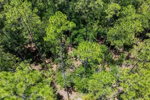 0 71st Ln, O'Brien, FL 32071 - Photo 36