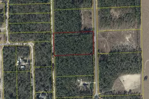 0 71st Ln, O'Brien, FL 32071 - Photo 26