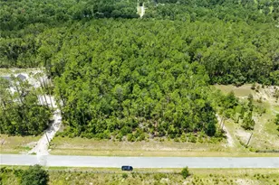 0 71st Ln, O'Brien, FL 32071 - Photo 28