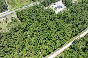 0 71st Ln, O'Brien, FL 32071 - Photo 34