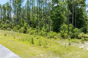 0 71st Ln, O'Brien, FL 32071 - Photo 40
