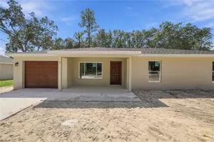 8 Sequoia Dr Course, Ocklawaha, FL 32179 - Photo 2