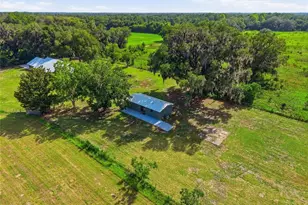 4351 NE 210th Ave, Williston, FL 32696 - Photo 70