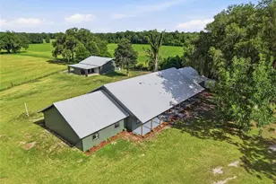 4351 NE 210th Ave, Williston, FL 32696 - Photo 2
