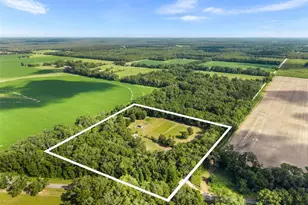 79 NW 55th Ave, Bell, FL 32619 - Photo 26