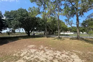 30349 Elam Rd, Wesley Chapel, FL 33545 - Photo 22