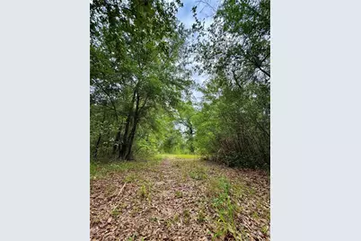 12790 NE 78 Terrace, Bronson, FL 32621 - Photo 4