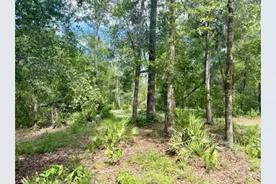 1109 NW 78th Avenue, Bell, FL 32619 - Photo 8